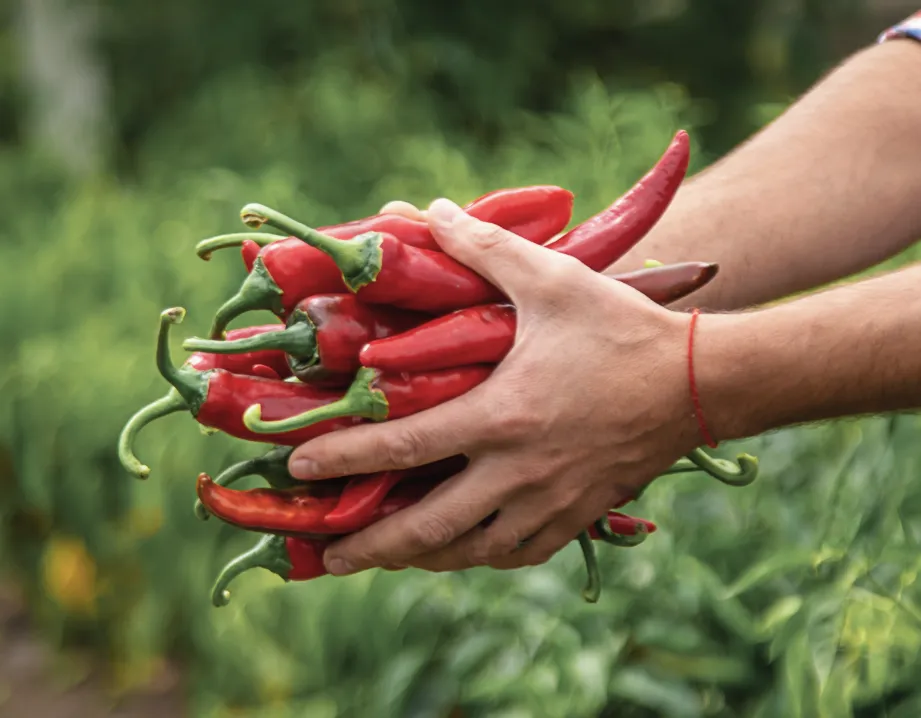 Collaboration efficace avec producteurs africains.