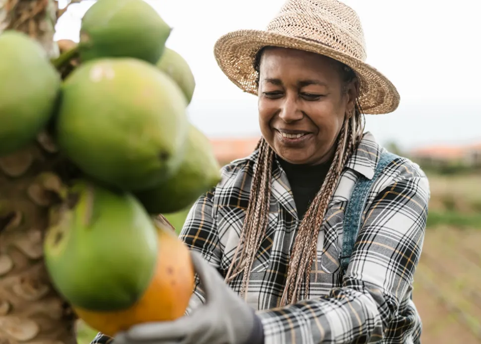 Collaboration directe avec producteurs certifiés.