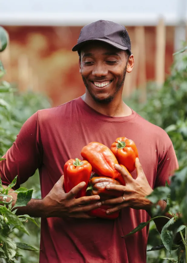 Importation de fruits frais directement d'Afrique.