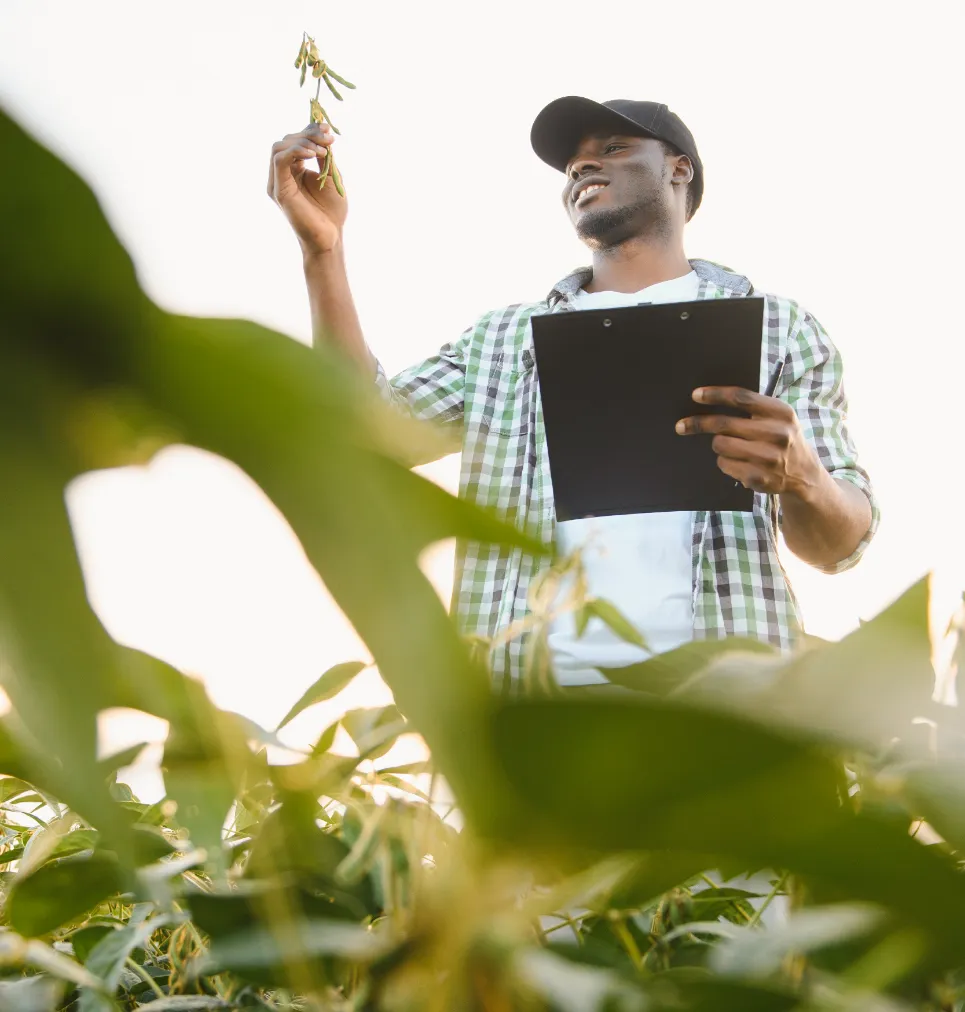 Produits agroalimentaires transformés importés directement d'Afrique.