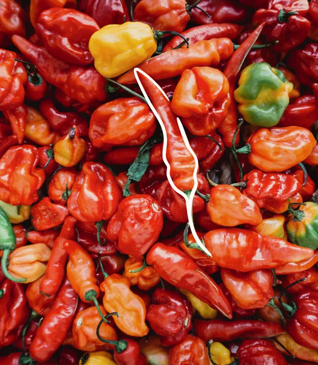 Importation de produits transformés de qualité.