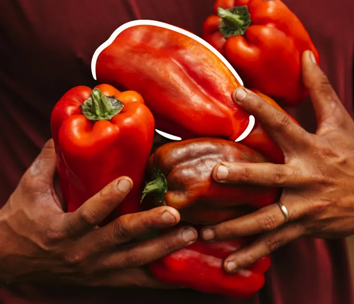 Exportation de fruits certifiés d'Afrique de l'Ouest.